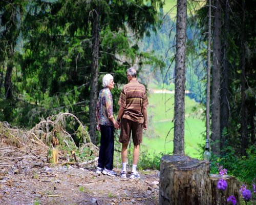 senior couple walking in nature concept